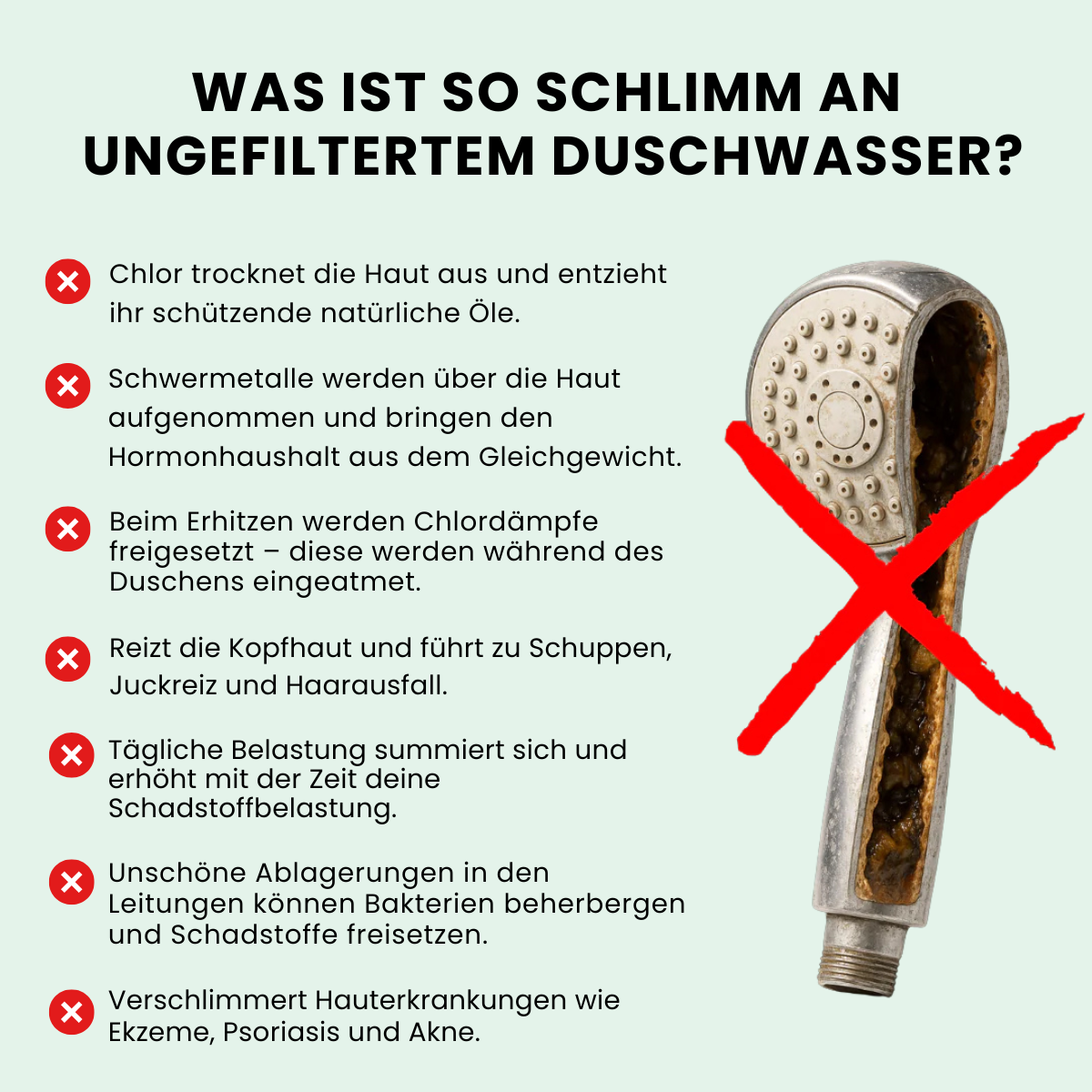 Gefilterter Duschkopf